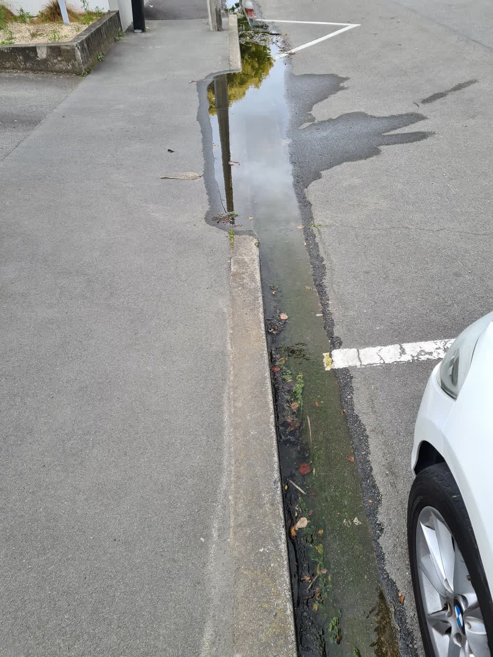 The photograph attached to this water leak report