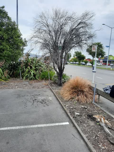 Roading/Streets, a report photo