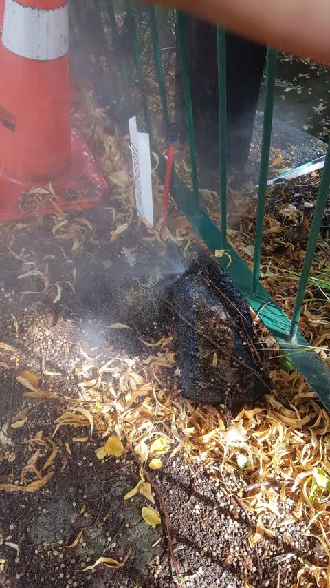 Water Leak, a report photo
