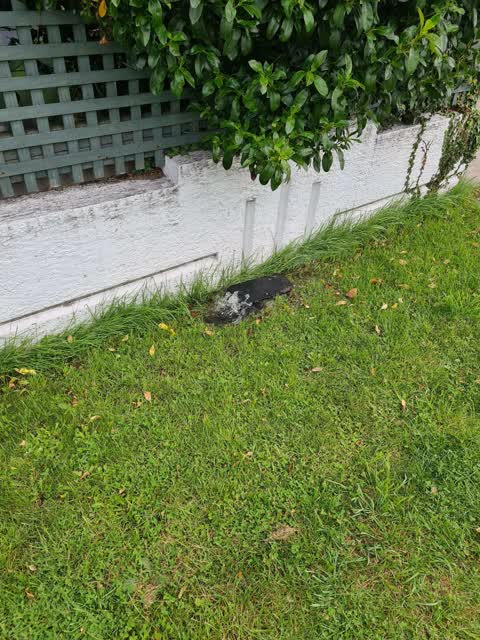 Water Leak, a report photo