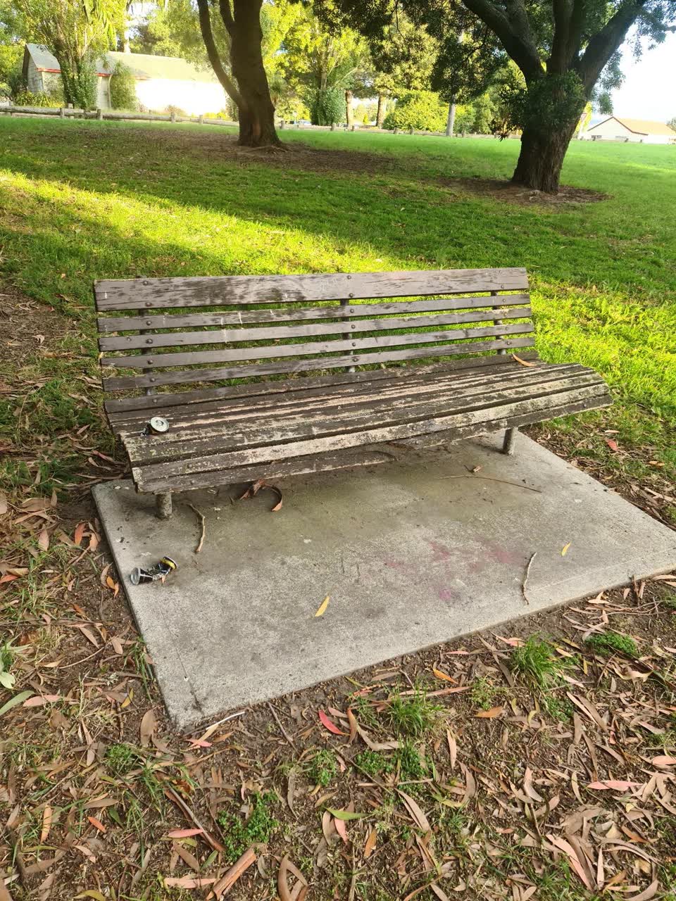 The photograph attached to this parks report