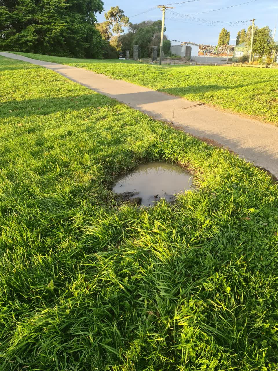 The photograph attached to this parks report