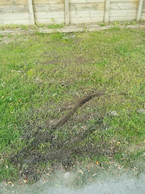 Water Leak, a report photo