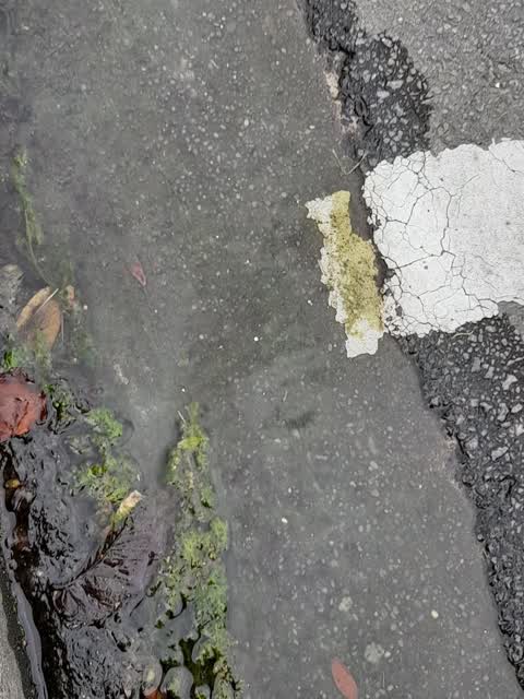 Water Leak, a report photo