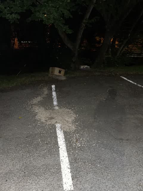 Parks — a report photo