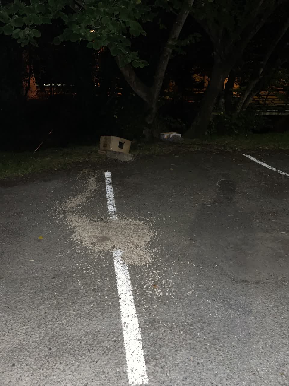The photograph attached to this parks report