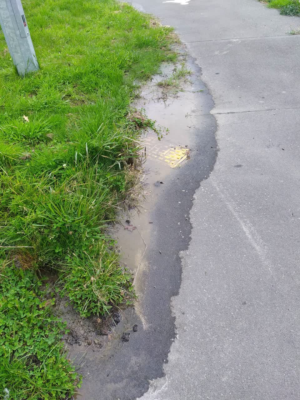 The photograph attached to this water leak report