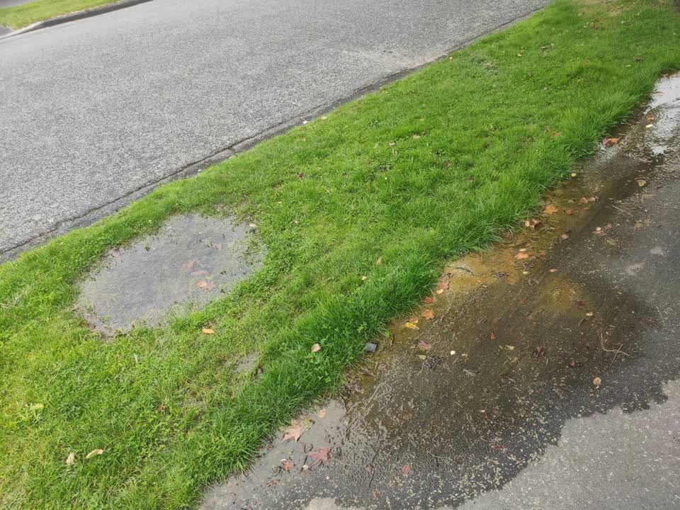 The photograph attached to this water leak report