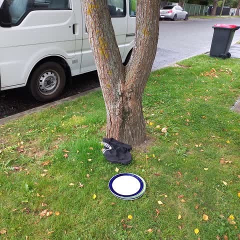 Rubbish/Recycling — a report photo