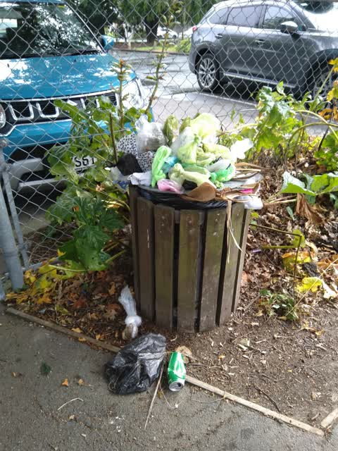 Rubbish/Recycling, a report photo