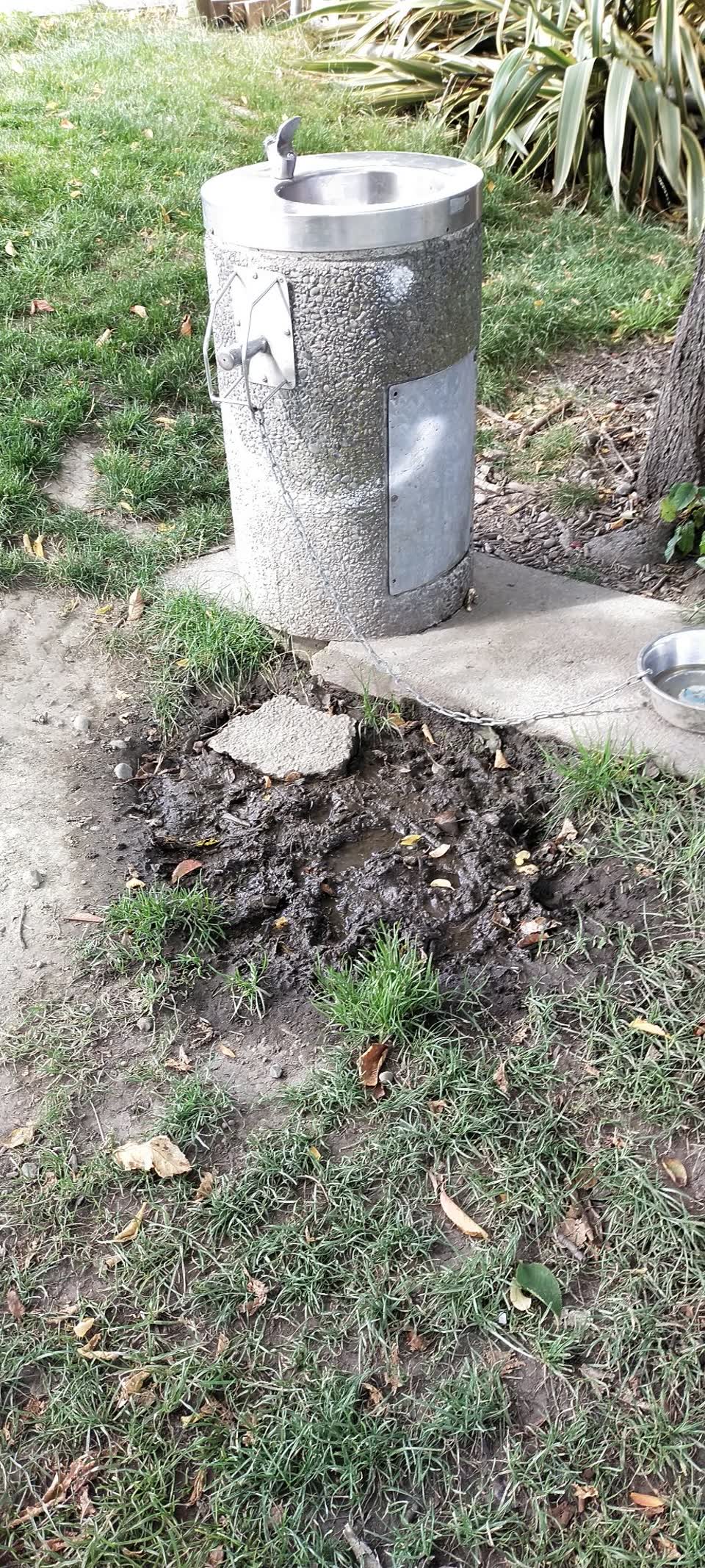The photograph attached to this parks report