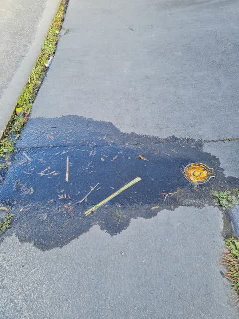Water Leak, a report photo