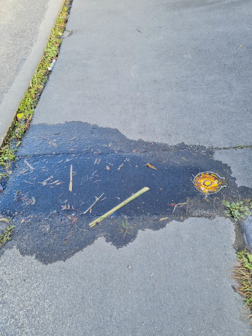 The photograph attached to this water leak report