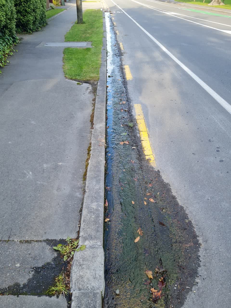 The photograph attached to this water leak report