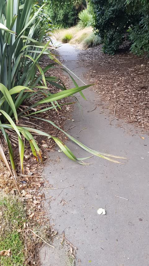 Parks, a report photo