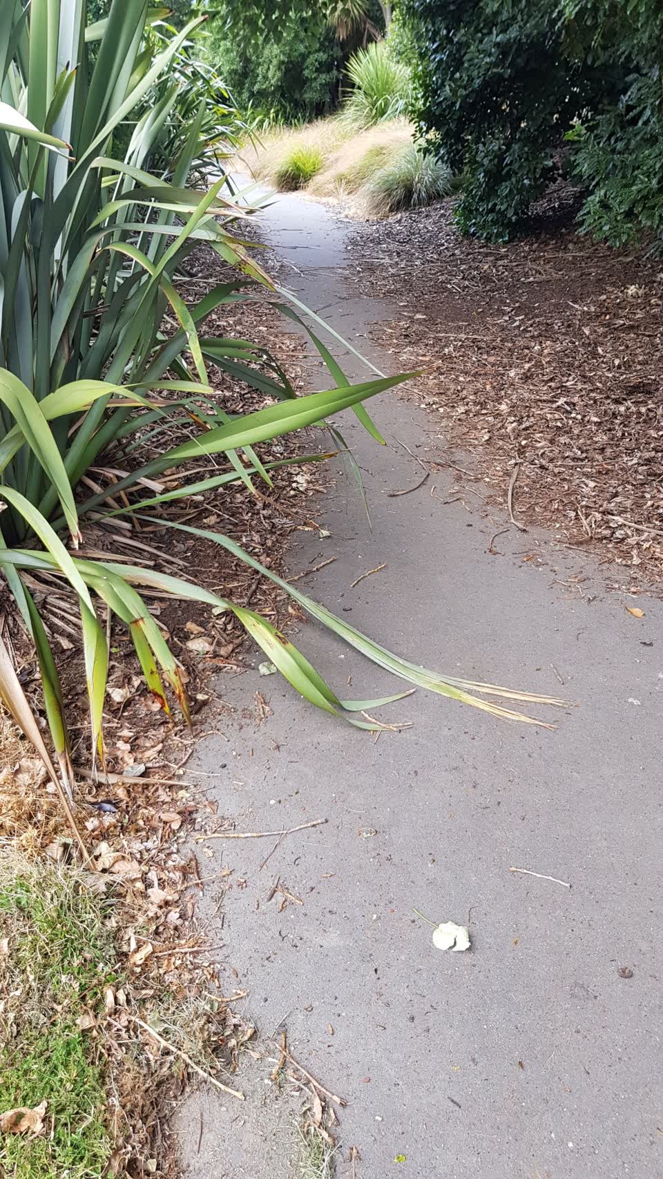 The photograph attached to this parks report
