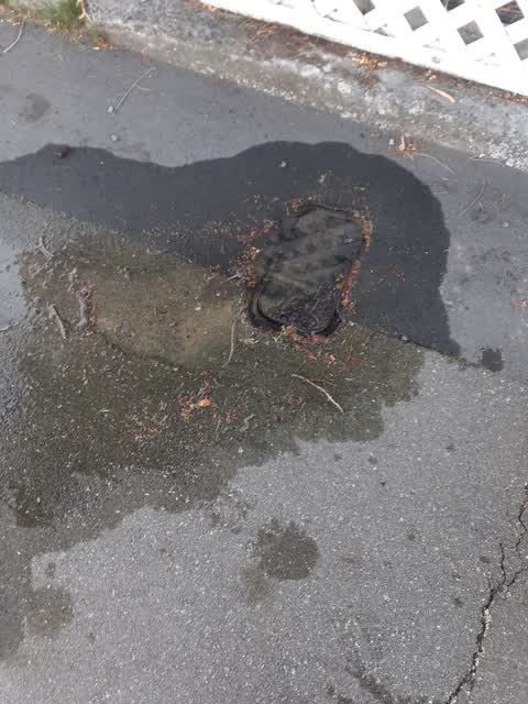 Water Leak, a report photo