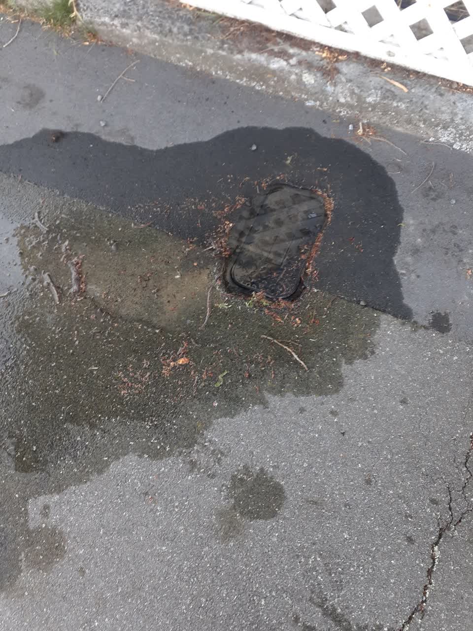 The photograph attached to this water leak report
