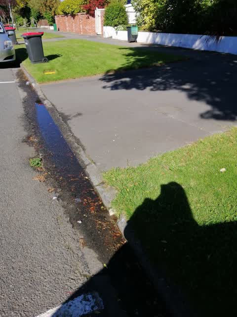 Water Leak, a report photo