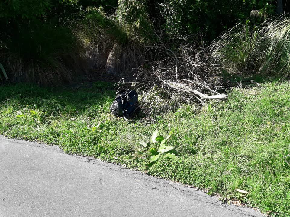 The photograph attached to this parks report