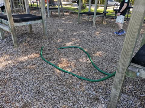 Parks, a report photo