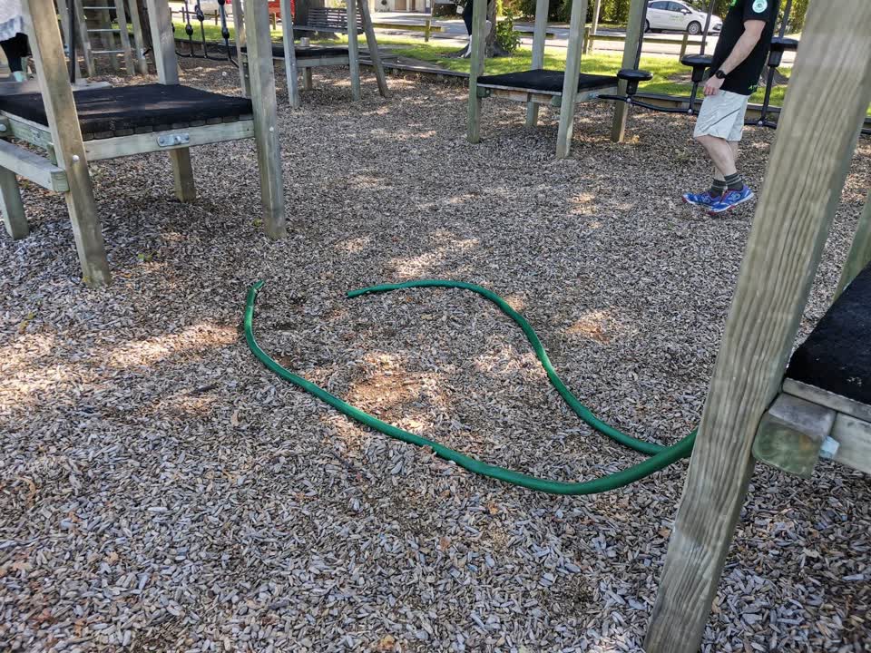 The photograph attached to this parks report