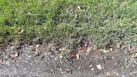 Water Leak, a report photo
