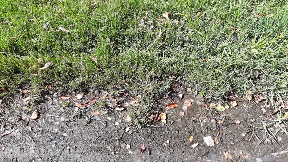 The photograph attached to this water leak report
