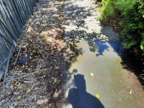 Water Leak, a report photo