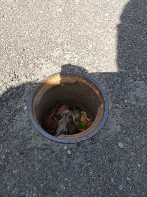 Water Supply, a report photo