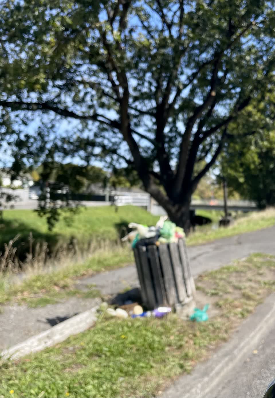 The photograph attached to this rubbish/recycling report