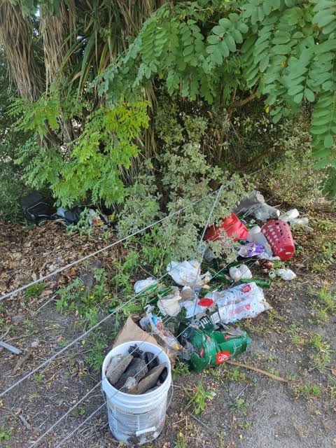 Rubbish/Recycling, a report photo