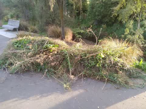 Parks, a report photo