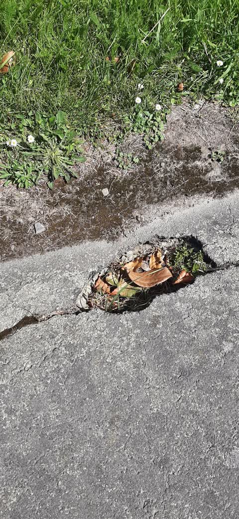 Roading/Streets, a report photo