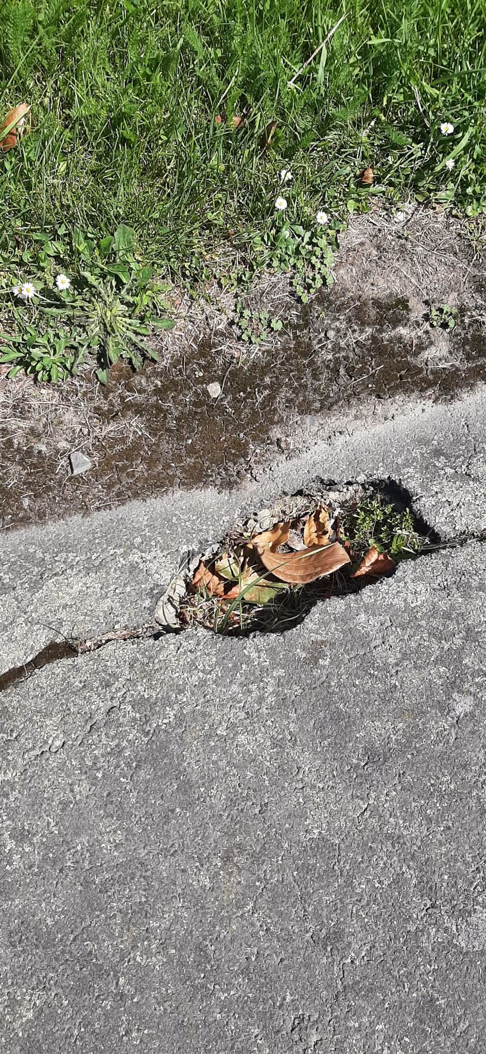 The photograph attached to this roading/streets report