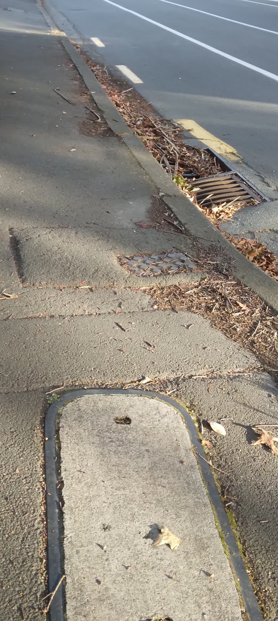 The photograph attached to this roading/streets report
