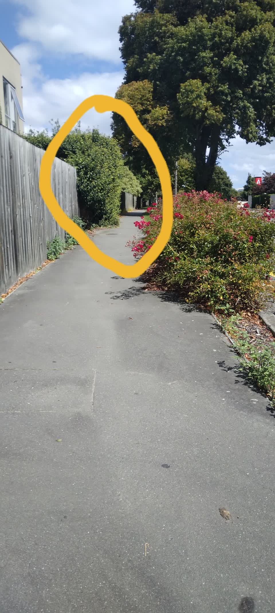 The photograph attached to this roading/streets report
