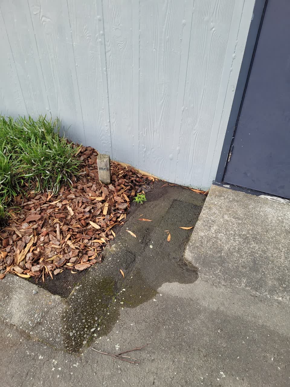 The photograph attached to this water leak report