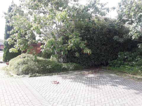 Parks, a report photo