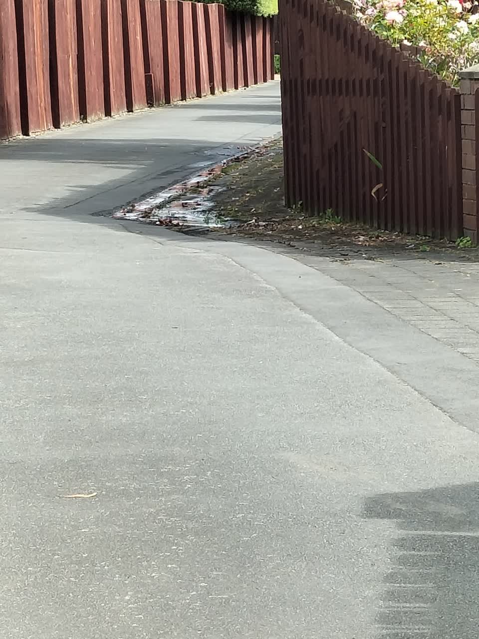 The photograph attached to this water leak report