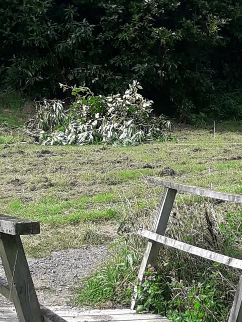 Parks, a report photo