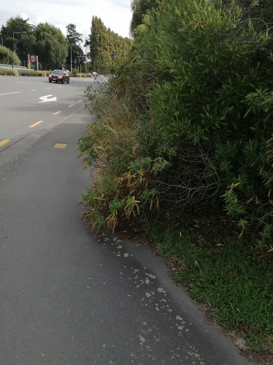 The photograph attached to this roading/streets report