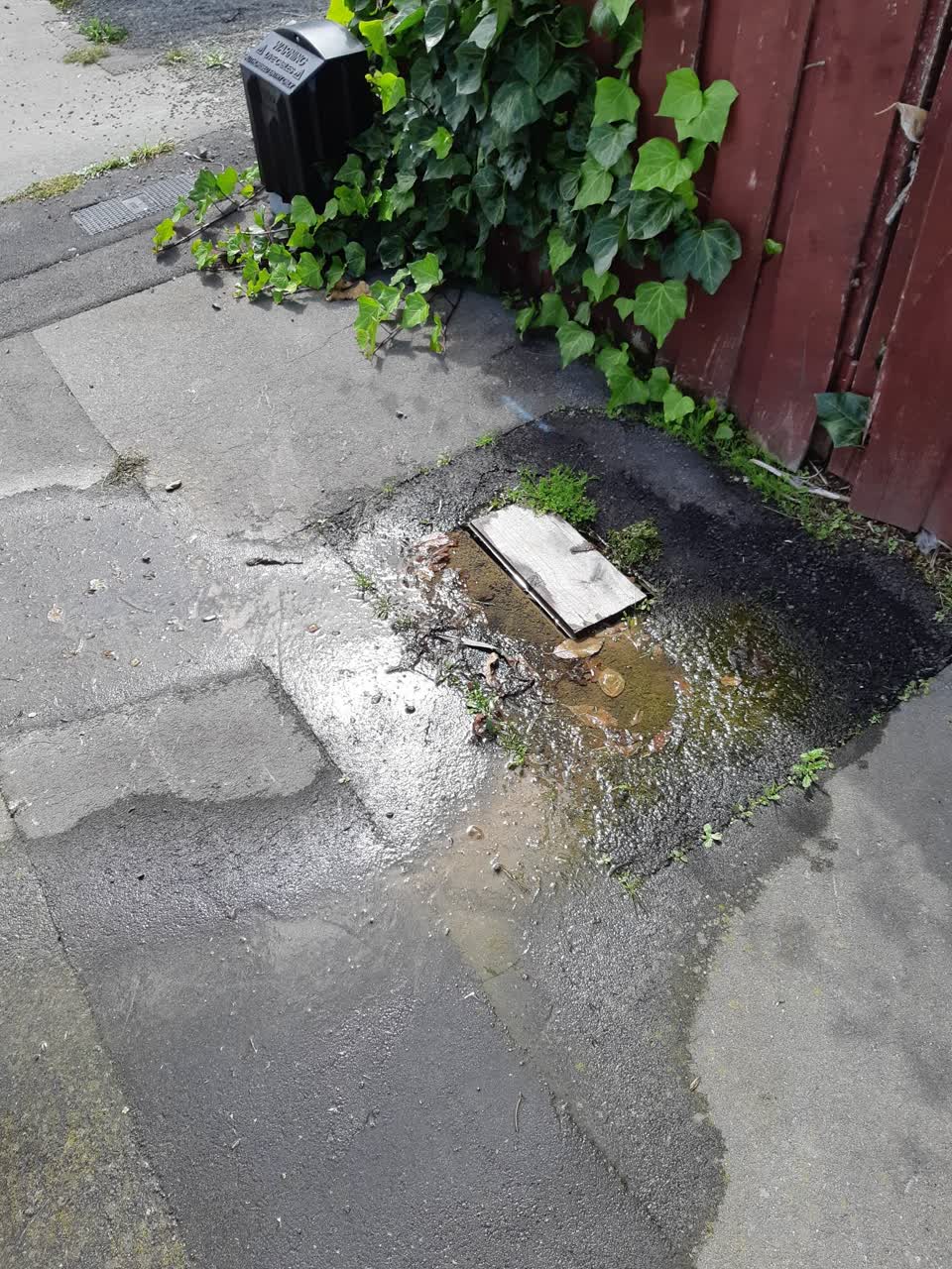 The photograph attached to this water leak report