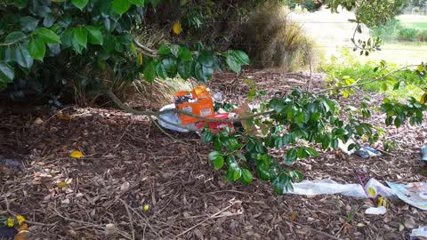 Rubbish/Recycling, a report photo