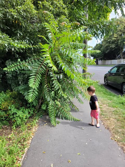 Parks, a report photo