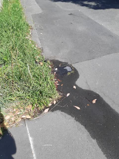 Water Leak, a report photo