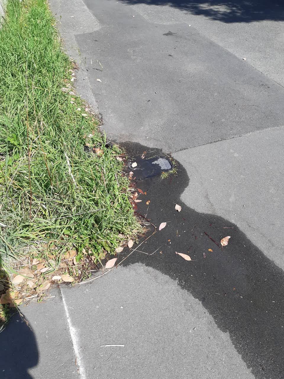 The photograph attached to this water leak report