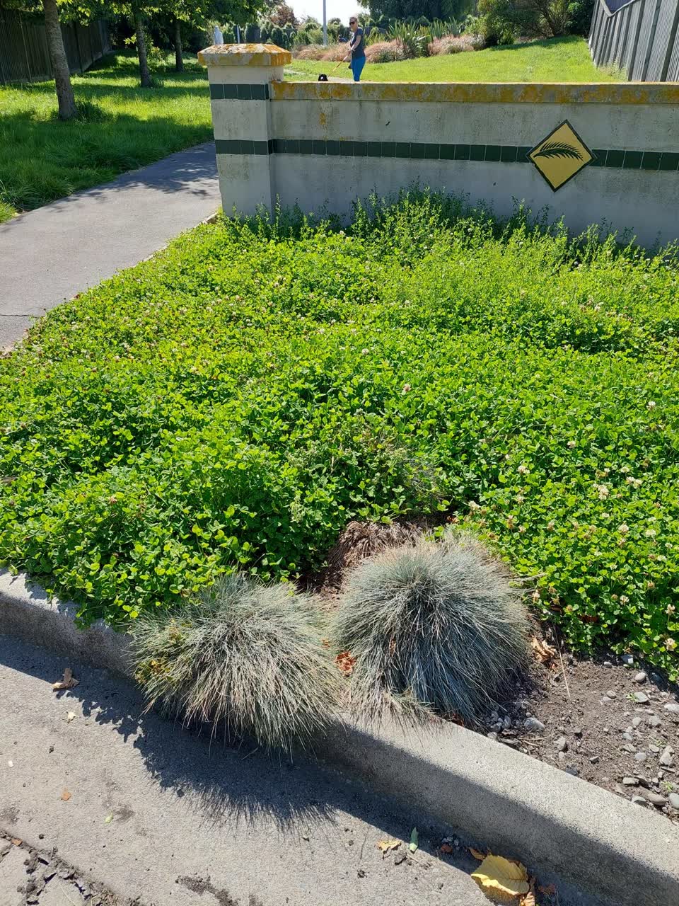 The photograph attached to this parks report
