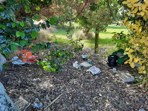 Rubbish/Recycling, a report photo
