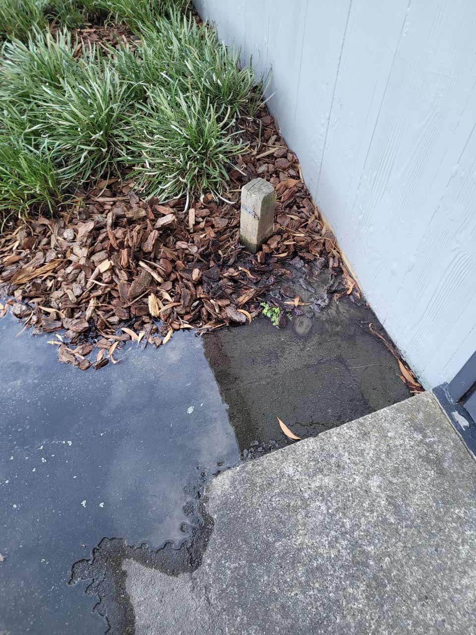 The photograph attached to this water leak report
